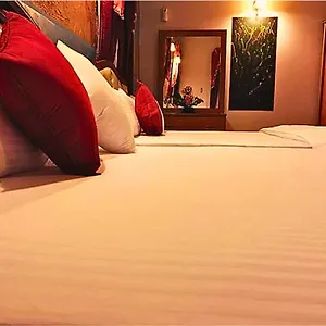  Hotel Ared