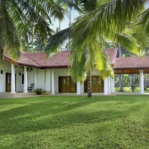  Villa Coco Peach Tree